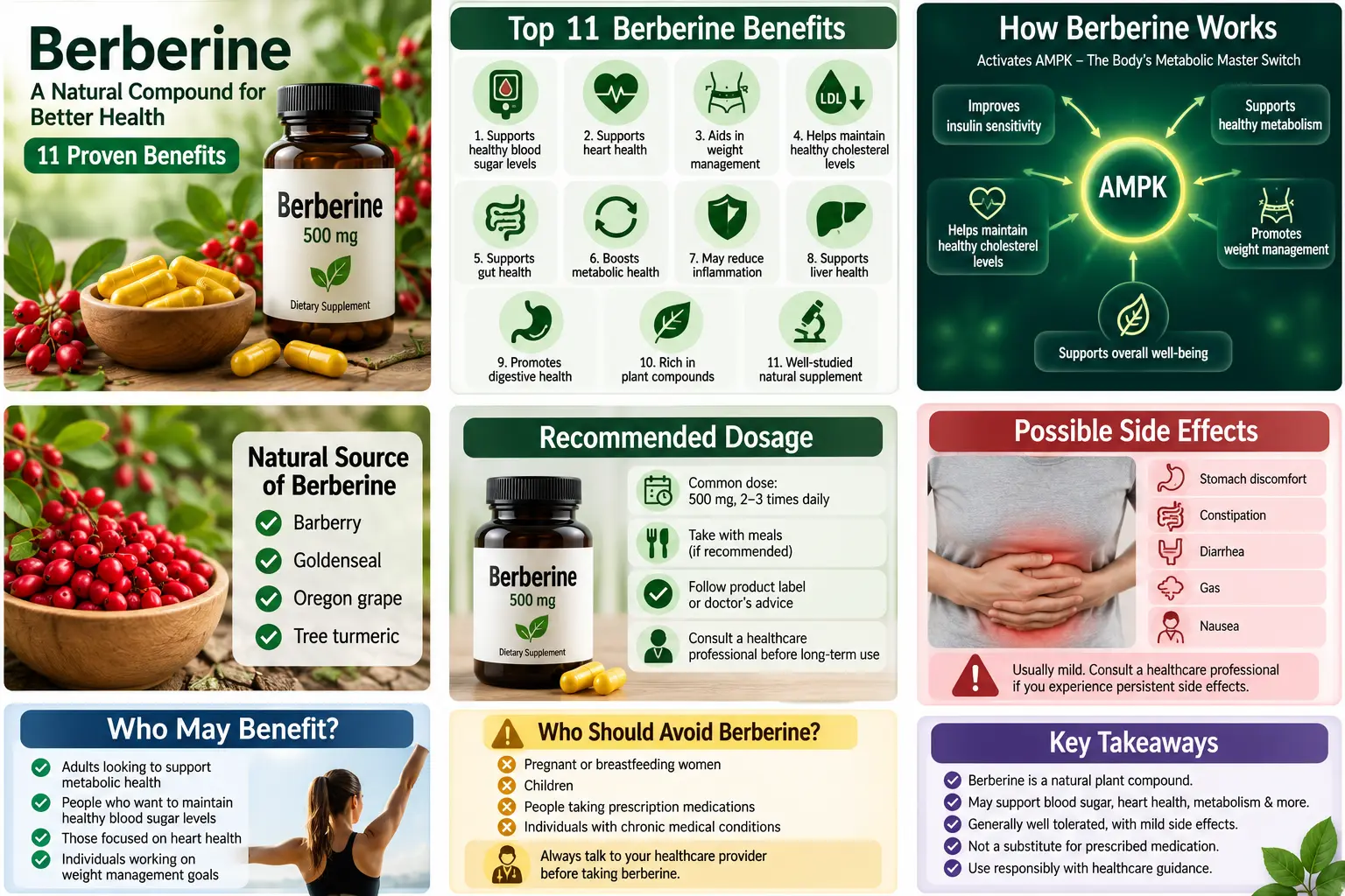 l carnitine and berberine together benefits L-Carnitine Benefits, Uses, Dosage, Foods, Side Effects 11 Proven Berberine Benefits: Uses,